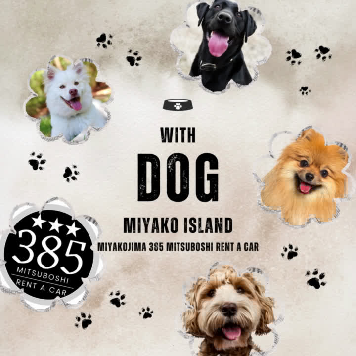 公式】宮古島385三ツ星レンタカー（ペット可、ペット専用レンタカー）